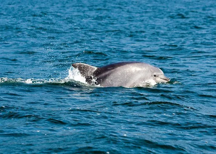 Cruceiro A Lanzada Sanxenxo